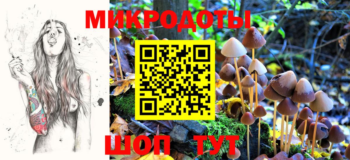 Псилоцибиновые грибы Cubensis  Вход с VPN  Выкса 